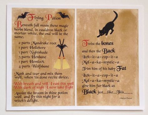 Who's ready for a spell binding good time this Halloween? These Hocus Pocus Magical Potions are the ultimate spooky cool craft for both kids and adults! Hocus Pocus Spells Printable, Black Flame Candle Printable, Spell Book Printable, Halloween Cubicle, Apothecary Ideas, Song Diary, Hocus Pocus Book, Voodoo Halloween, Hocus Pocus Spell