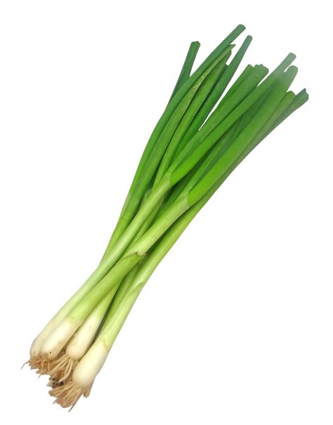 Spring Onion is my discovery this growing season. Even though, it’s not at all difficult to buy spring onions in Dutch supermarkets, growing them has some plus points. I don’t remember how I came u… Spring Produce, Vegetable Pictures, Fruit Photography, Spring Vegetables, Spring Onion, Fruit And Veg, Growing Vegetables, Green Onions, Meals For The Week