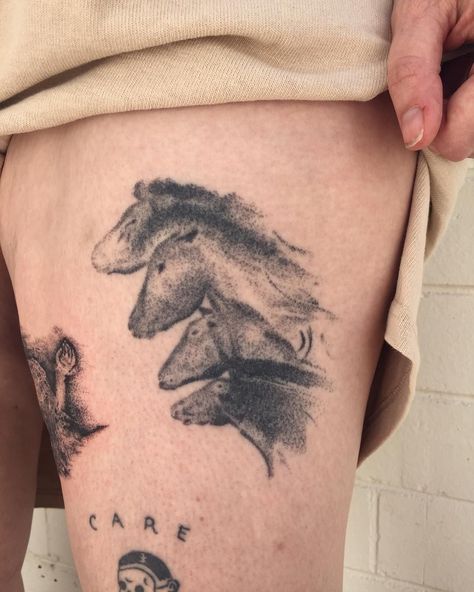 healed #tattoo by Tanya DSM @tanyadsm To book a consult with Tanya, contact her directly via email tanyadsm@gmail.com  #perthtattoo #fremantletattoo Cave Paintings Tattoo, Cave Painting Tattoo, Cave Art Tattoo, Prehistoric Tattoo, Wild Horse Tattoo, Horses Tattoo, Healed Tattoo, Ancient Art Tattoo, Jeep Tattoo