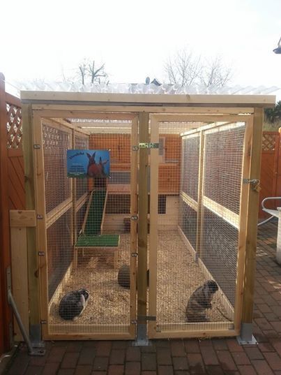 Rabbit Hutch Ideas, Diy Rabbit Hutch, Rabbit Pen, Outdoor Rabbit Hutch, Outdoor Rabbit, Rabbit Enclosure, Rabbit Habitat, Hutch Ideas, Two Rabbits