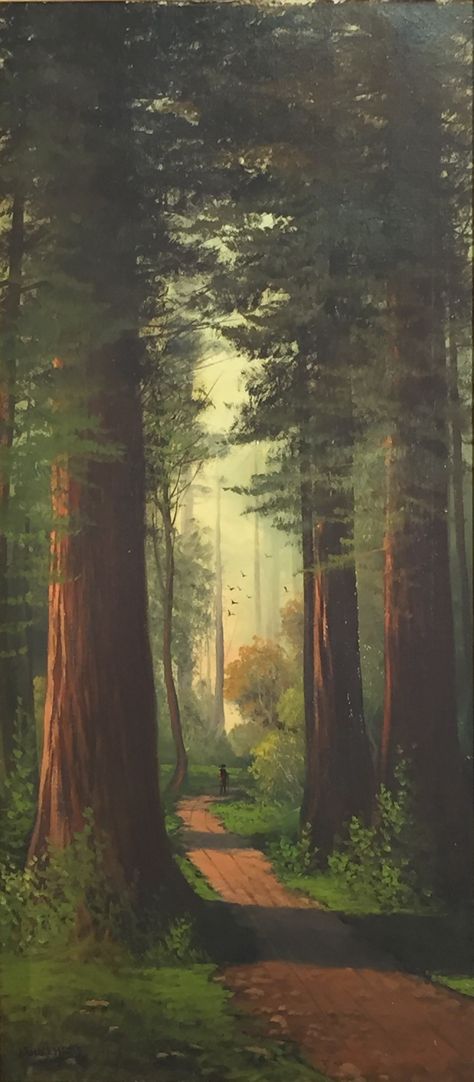 John Engelhart - Giant Sequoia Grove http://www.bradyhart.com/joseph-john-engelhart/vybo7c9sam2lujf373o01zfp8uy4io Redwood Landscaping, Redwood Illustration, Redwood Painting, Sequoia Tree Painting, Sequoia Tree Illustration, Redwood Trees Painting, Sequoia Painting, Woods Artwork, Redwood Tree Illustration