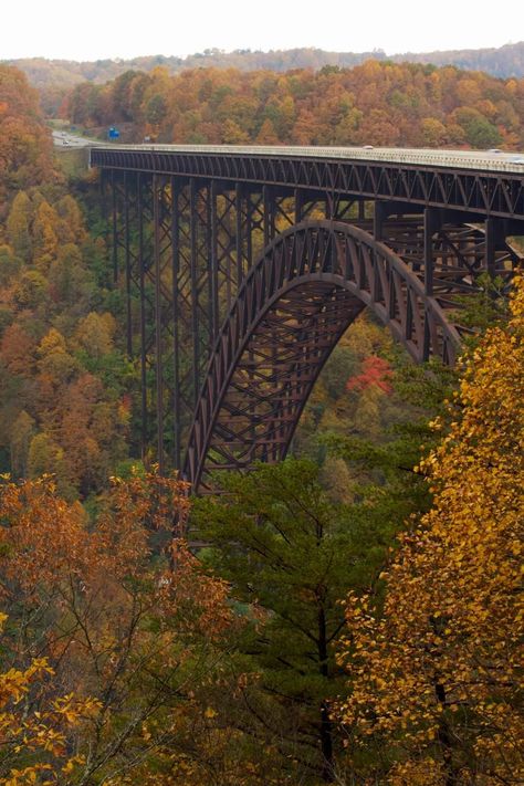 New River Gorge Bridge, WV West Virginia Camping, Infrastructure Architecture, New River Gorge Bridge, Bridge Tattoo, New River Gorge, Colors Of Fall, Fall Break, Appalachian Mountains, New River