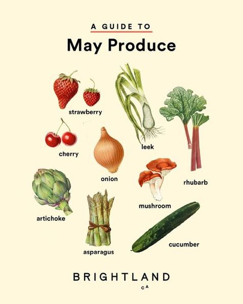 All Posts • Instagram May Produce In Season, May Seasonal Produce, April Produce, Vegetables In Season, May Produce, Seasonal Produce Guide, Healthy Liver Diet, Low Salt Recipes, Roasted Rhubarb