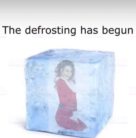 Mariah Carey Christmas Funny, Mariah Carey Defrosting, Mariah Carey Christmas, Christmas Memes Funny, Happy September, Christmas Memes, Funny Af, Cute Christmas Wallpaper, Loving Friends