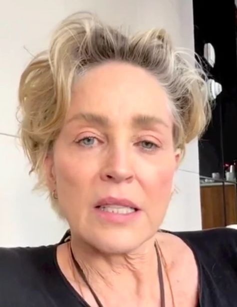 Sharon Stone, 65, Shares a Stunning Bikini Photo, But One Twist Completely Stole Her Thunder / Bright Side Sharon Stone Hair, Sharon Stone 90s, Sharon Stone Hairstyles 90s, Sharon Stone Now, Sharon Stone Pixie, Sharon Stone Specialist, Sharon Stone Basic Instinct Hair, Sharon Stone Short Hair, Sharon Stone Basic Instinct