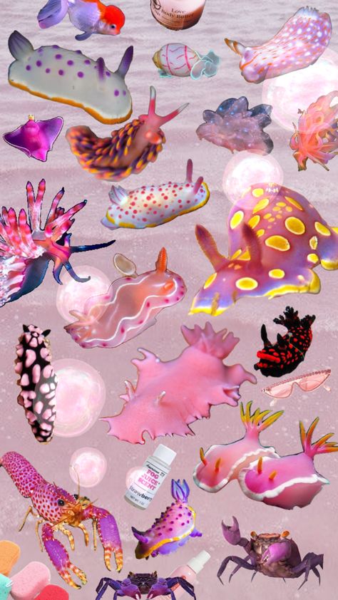 Cute Sea Slugs, Sea Bunny Wallpaper, Cute Sea Slug Drawing, Sea Slug Wallpaper, Sea Slug Cute, Sea Slug Fursona, Sea Bunnies, Nudibranch Wallpaper, Cool Sea Creatures