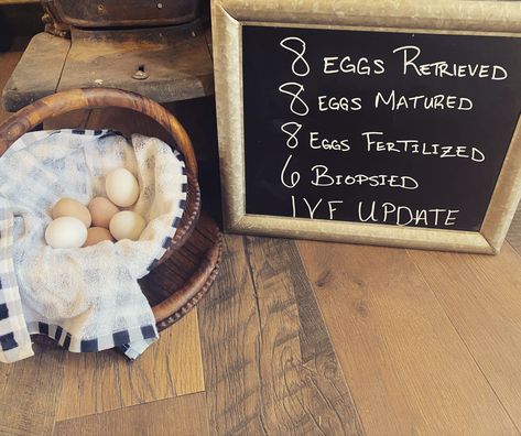 Egg retrieval update Egg Retrieval Ivf Letter Board, Egg Retrieval, Ivf Pregnancy, Ivf Journey, Felt Board, Cute Signs, Future Baby, Baby Photos, Letter Board