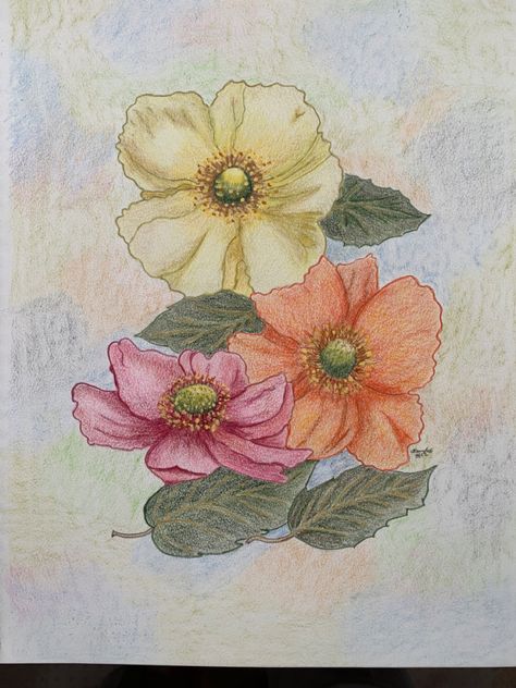 Drawn from a birthday card in colored pencil Colored Pencil Birthday Card, Margaret Tarrant, Grandma Birthday Card, Colour Pencil, Color Pencil Drawing, Color Pencil, Colored Pencil, Pencil Drawing, Flower Crown