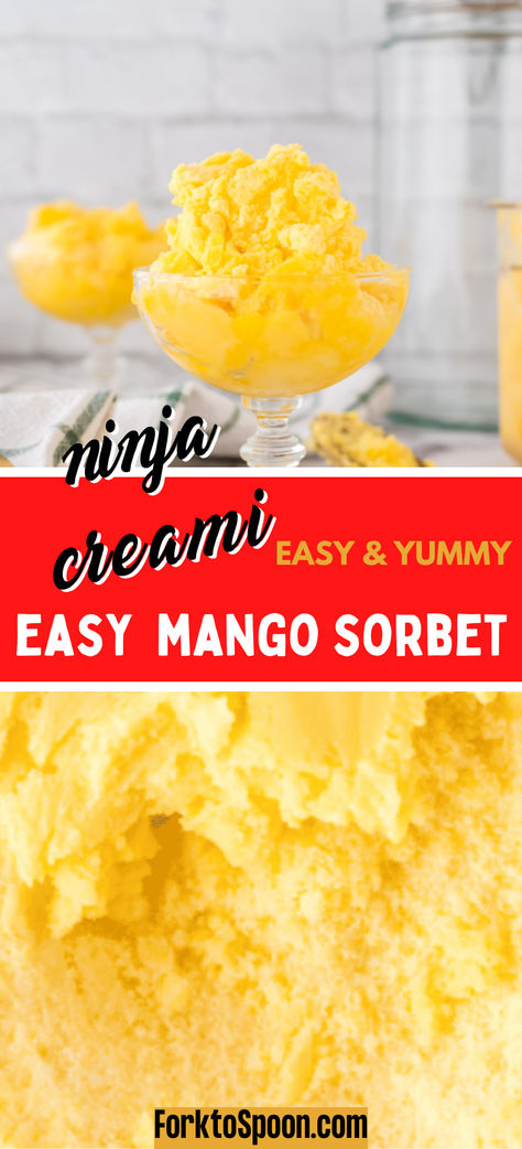 easy ninja creami mango sorbet, ninja creami mango sorbet, fresh mango sorbet ninja creami, strawberry mango sorbet ninja creami, frozen mango sorbet ninja creami, mango sorbet recipe ninja creami Ninja Creami Mango, Mango Sorbet Recipe, Make Your Own Ice Cream, Ninja Ice Cream Recipe, Sorbet Recipe, Vegetarian Cookies, Ninja Creami Recipes, Creami Recipes, Frozen Mango