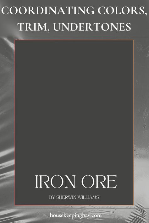 Iron Ore by Sherwin Williams - Coordinating Colors, Undertones, Trim Guide Iron Ore Sherwin Williams, Warm Gray Paint, Trim Colors, House Trim, Best White Paint, Sherwin Williams Colors, Basement House, Benjamin Moore Colors, Iron Ore