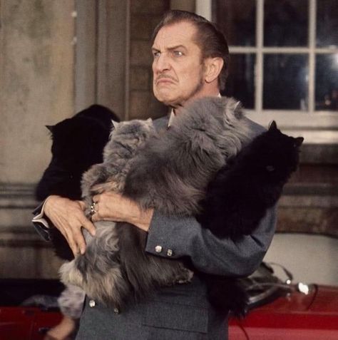 Hammer Horror Films, Vincent Price, Davy Jones, Classic Horror Movies, Stanley Kubrick, Cat People, Classic Horror, Horror Films, Classic Hollywood