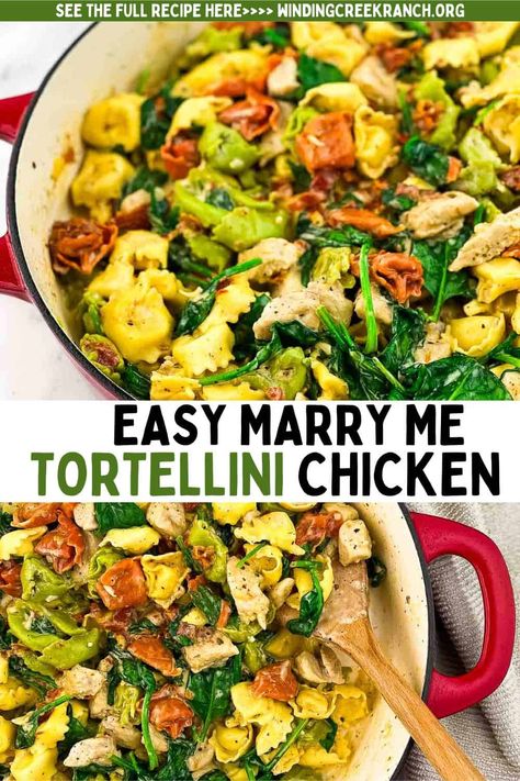 Marry Me Tortellini Chicken Marry Me Chicken With Tortellini, Chicken Tortellini Recipes, Tortellini Chicken, Cheesy Tortellini, Sun Dried Tomato Sauce, Spinach Tortellini, Meal For Two, Cranberry Chicken, Chicken Tortellini