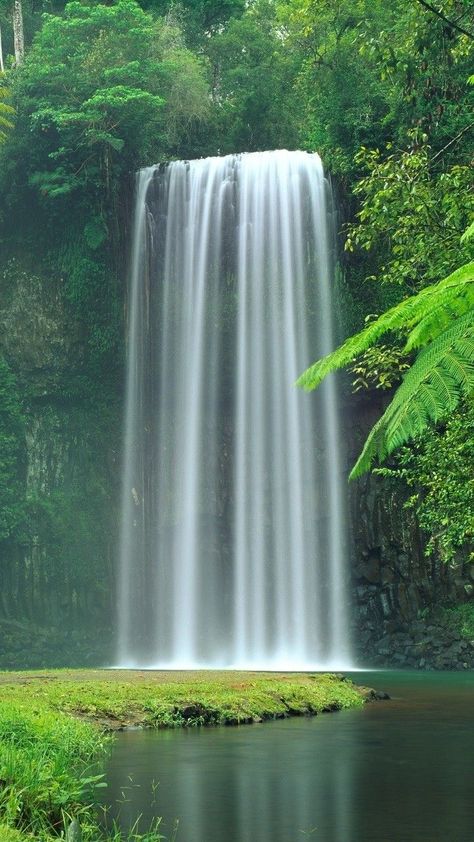 Water Fall Aesthetic, Easy Party Hairstyles, Jungle Photography, Background Reference, Waterfall Scenery, Waterfall Wallpaper, Waterfall Photo, Mystical Places, Peaceful Living