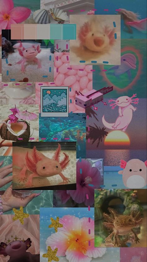 Axolotl Wallpaper Aesthetic, Axolotl Wallpaper, Blackpink Christmas, Aquatic Creatures, Wallpaper Aesthetic, Aesthetic Wallpaper, Wallpapers, Fan, Animals