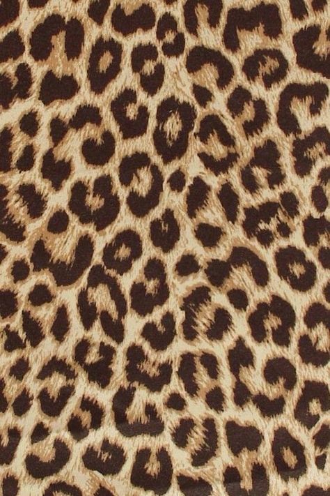 Phone Background, Leopard Print, Animal Print