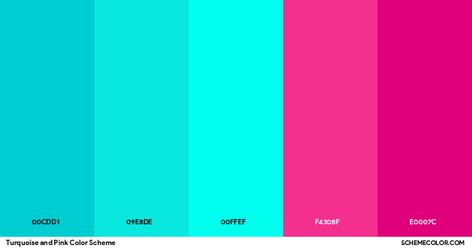 Turquoise And Pink Color Scheme » Pink Hot Pink Turquoise Color Palette, Pink And Blue Color Palette Bright, Turquoise And Fuschia, Teal And Magenta Color Palette, Color Palette Hot Pink, Colors That Go With Hot Pink, Hot Pink Color Combinations, Pink And Turquoise Aesthetic, Teal And Fuschia