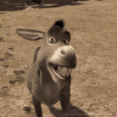 Shrek Donkey, Smile Gif, Animated Emoticons, Funny Cartoon Pictures, Happy Gif, Funny Cartoon Gifs, You Meme, Movie Gifs, 웃긴 사진