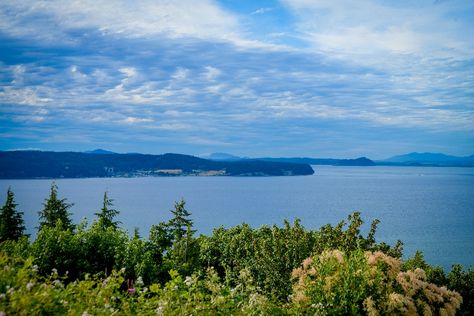 A view of trees, water, land and blue sky with white clouds on Camano Island. Camano Island, Podcast Interview, Culinary Travel, White Clouds, So Many People, The Pacific Northwest, Real Food, Places Around The World, Many People