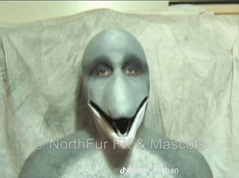 2000s Internet Horror, Creepy Reaction Pic, Uncanny Valley Faces, Horror Matching Pfp, Dolphin Man, Unnerving Images, Internet Horror, Weird Photos, Scary Images