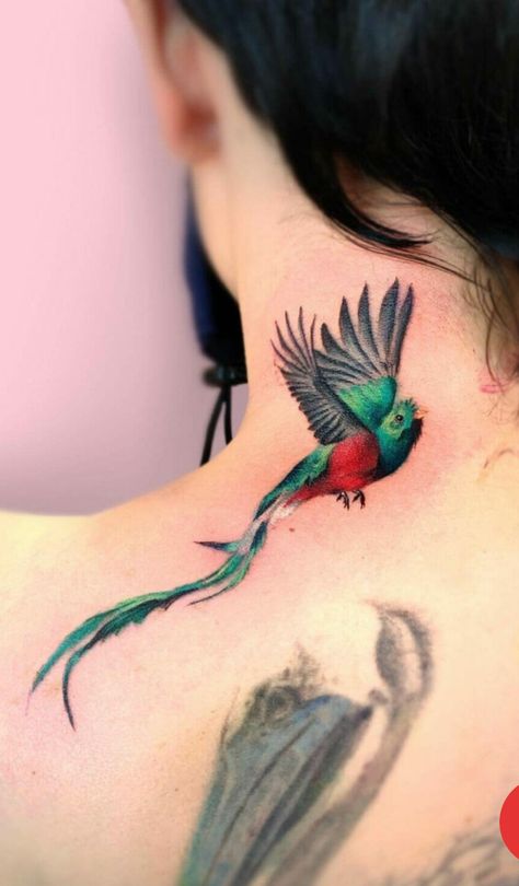 Guatemala Bird Tattoo, Quetzal Bird Tattoo, Bird Tattoo Outline, Guatemala Tattoo, Quetzal Tattoo, Bird Tattoo Ideas, Bird Shoulder Tattoos, Quetzal Bird, Bird Tattoos Arm