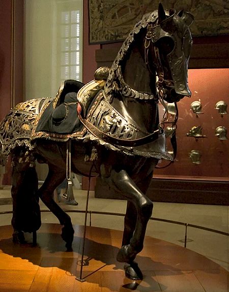 Paardenharnas Medieval Horse, Bb King, Horse Anatomy, Horse Costumes, Horse Armor, Horse Equipment, Equestrian Art, Horse Gear, Friesian Horse