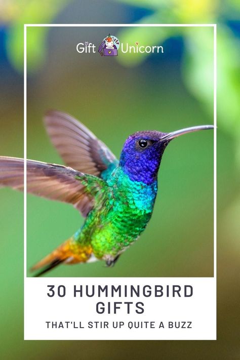 Hummingbird Symbolism, Hummingbird House, Hummingbird Gifts, Personal Gifts, How To Attract Hummingbirds, Humming Bird Feeders, Go Crazy, Inexpensive Gift, Experience Gifts