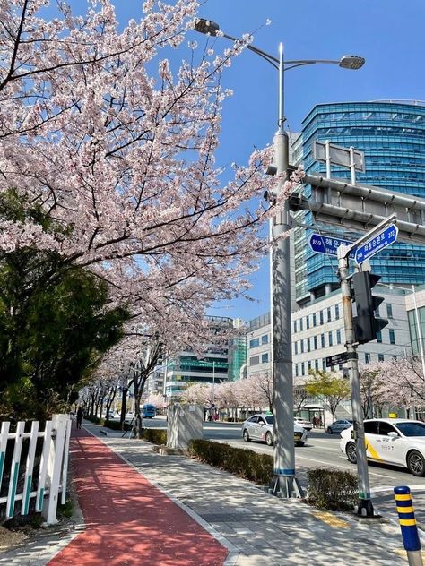 Spring In Korea Aesthetic, Korean City Aesthetic Wallpaper, Korean Places South Korea, Seoul City Aesthetic, Korea In Spring, South Korea Summer, Seoul Korea Aesthetic, South Korea Aesthetic, Spring In Korea