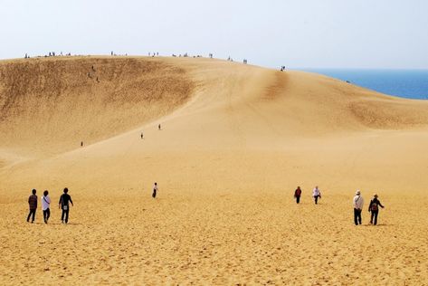 tottori sand dunes Japan Sightseeing, Tottori Japan, Japan Holidays, Tottori, Ehime, Sea Of Japan, Ancient Forest, Tropical Beaches, The Dunes