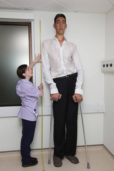 Skinniest Person In The World, Giant Men People, Tallest Mountains In The World, Tall Guys Meme Funny, Tallest Statue In The World, Nephilim Giants, Giant People, Curious Facts, Human Oddities