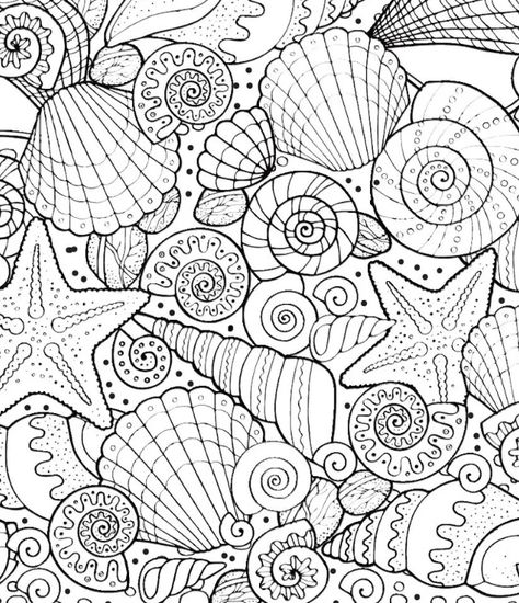 Shell Coloring Pages, Free Printable Coloring Pages For Adults Colouring Sheets, Aztec Wallpaper, Mom Coloring Pages, Beach Coloring Pages, Abstract Coloring Pages, Summer Coloring Pages, Flower Art Drawing, Adult Colouring Pages