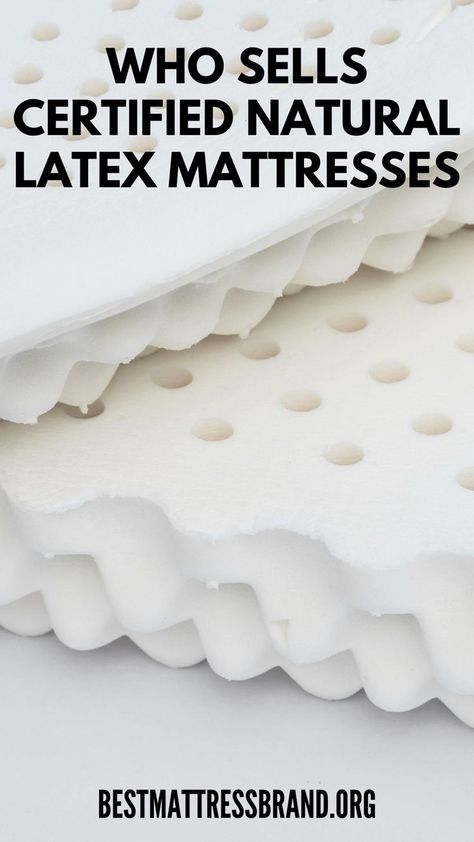 Discover certified natural latex mattresses made from eco-friendly, organic materials with top sustainability standards. Enjoy ultimate comfort and responsible sourcing—find all the details on our site! Latex Bed, Natural Latex Mattress, Latex Mattress, Mattress Brands, Best Mattress, Natural Latex, Organic Materials, The Details, To Tell