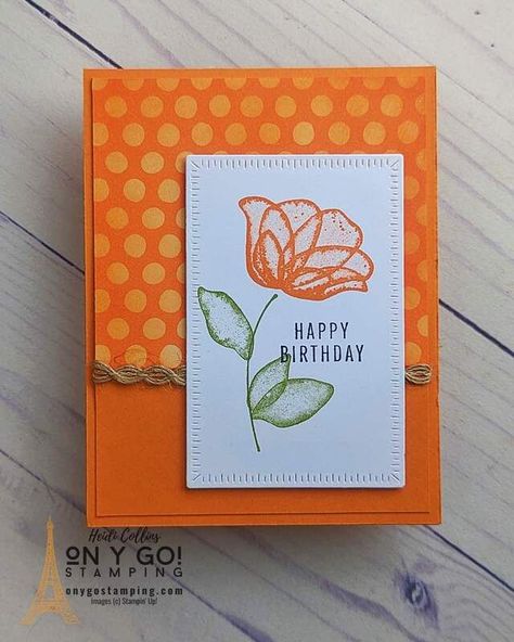 Stampin Up Feminine Birthday Cards, Su Translucent Florals, Stampin Up Translucent Florals Bundle, Wishes All Around Stampin Up Cards, Stampin Up Translucent Floral Cards, Stampin Up Translucent Florals, Translucent Florals Stampin Up Cards, Translucent Flowers, Translucent Florals