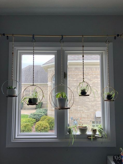 Hanging plants indoor living rooms