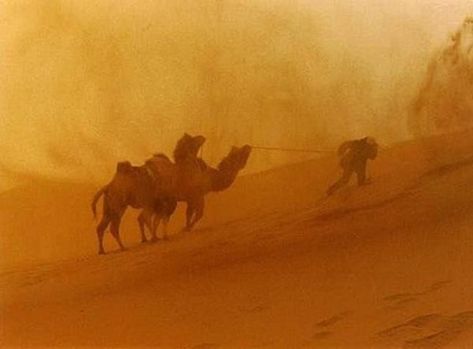 Desert Biome, Sand Storm, Desert Beauty, Storm Art, What Dreams May Come, Apocalypse Aesthetic, Storm Photography, Wild Weather, Dust Storm