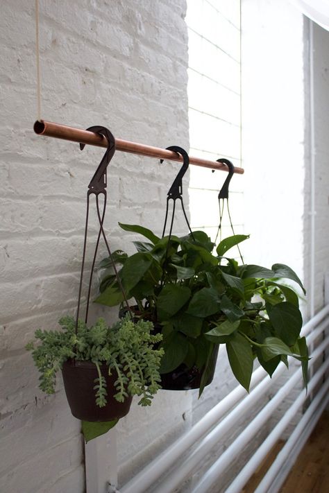 DIY Copper Bar Plant Holder Simple Greenhouse, Plants Hanging, Diy Copper, Plant Hanging, Copper Bar, Hanging Plant Holder, Hanging Plants Indoor, Diy Plant Hanger, Copper Diy