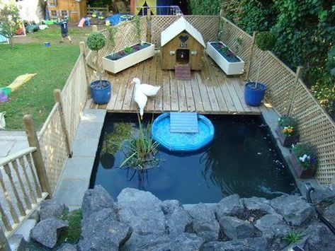 Here's a cool way to create a beautiful look to your ducks area Duck House Diy, Duck Enclosure, Duck House Plans, Duck Pens, Backyard Ducks, Duck Coop, Duck Farming, Raising Ducks, Pet Ducks