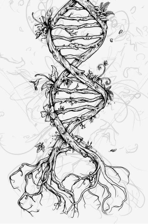 Biology Design, Biology Drawing, Science Drawing, Science Tattoo, Science Tattoos, Dna Art, Octopus Tattoos, Illustration Kunst, Men Tattoos