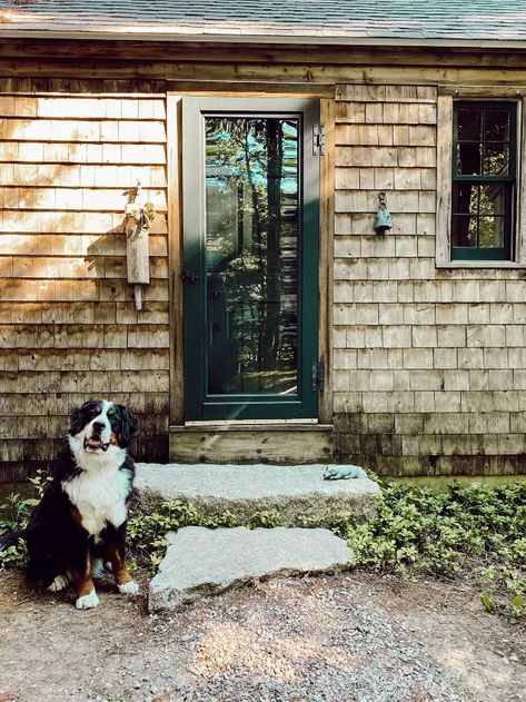 How To Restore Aged Cedar Shakes Siding | Hometalk Cedar Shake Shingles, Essex Green, Cedar Shingle Siding, Cedar Shake Siding, Cedar Shake, Shake Siding, Cedar Shakes, Maine Cottage, House Trim