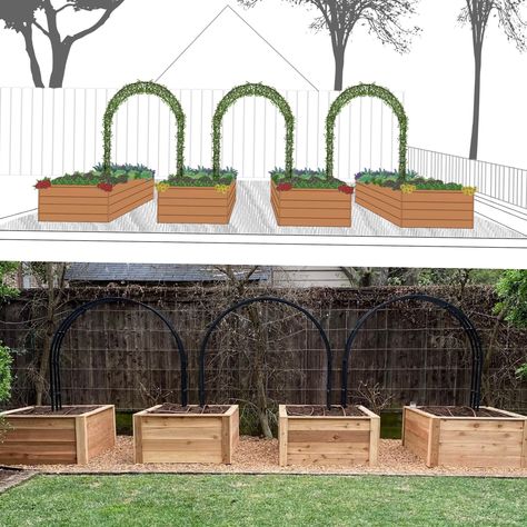 U Shaped Vegetable Garden Layout, Garden Box Aesthetic, Raised Garden Beds Netting, Small Garden Veggie Patch, Veggie Garden Box Ideas, Small Yard Garden Ideas Raised Beds, Small Garden Bed Design, Border Vegetable Garden, Luxury Vegetable Garden Design