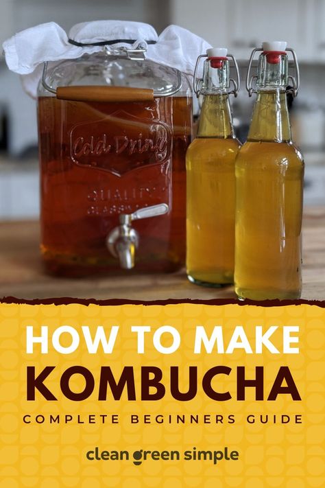 MAKE KOMBUCHA AT HOME! Making your own kombucha is a great way to save money and enjoyed virtually limitless number of custom flavors. In this comprehensive guide for beginners, I'll show you how to make delicious, healthy kombucha at home with a basic step-by-step recipe that anyone can make. Best Kombucha, Make Your Own Kombucha, Diy Kombucha, Make Kombucha, Kombucha Scoby, How To Brew Kombucha, Homemade Kombucha, Kombucha Recipe, Fermented Tea