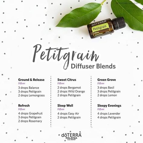 Perhaps one of the greatest benefits of Petitgrain oil is its ability to promote relaxing feelings😉 Due to its chemical makeup, Petitgrain essential oil can be helpful in creating a calm, relaxed environment to promote feelings of relaxation. If you have no idea where to start to blend your Petitgrain, try out these diffuser blend recipes! #essentialoils #Petitgrain Petitgrain Essential Oil Blends, Petitgrain Diffuser Blends, Spiritual Essentials, Essential Oil Combos, Sleeping Essential Oil Blends, Petitgrain Essential Oil, Esential Oils, Doterra Diffuser Blends, Doterra Oil