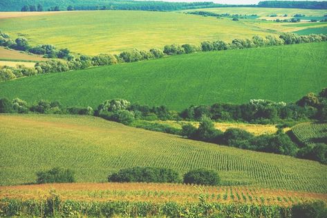 Iowa Aesthetic, Iowa Landscape, Iowa Farms, Iowa, Relaxation, Art Inspiration, Art