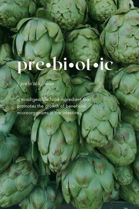 Prebiotics definition is nondigestable food ingredients that promotes the growth of beneficial microorganisms in the intestines. Holistic Health Aesthetic, Nutrition Photography, Nutrition Aesthetic, Health Branding, Asparagus Garlic, Nutrition Lifestyle, دورة شهرية, Natural Probiotics, Wellness Community