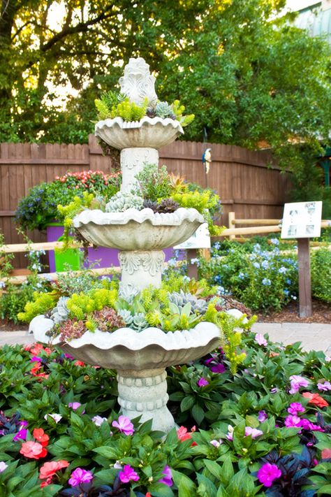 Fountain Planter, Meteor Garden 2018, Magic Garden, Rock Garden Landscaping, Garden Route, Garden Containers, Garden Yard Ideas, Drip Irrigation, Garden Pathway