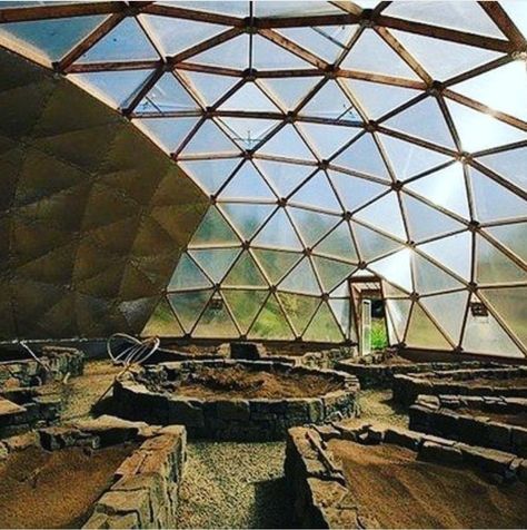 Growing Dome, Geodesic Greenhouse, Dome Houses, Geodesic Dome Greenhouse, Dome Greenhouse, Green House Design, Build A Greenhouse, Wooden Greenhouses, Small Greenhouse