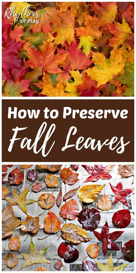 Preserve Fall Leaves, How To Preserve Leaves, Preserve Leaves, Autumn Leaves Craft, Easy Arts And Crafts, Art And Craft Videos, Leaf Crafts, Fall Crafts Diy, Autumn Crafts