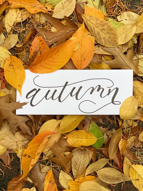 Autumn leaves, calligraphy Leaves Calligraphy, Autumn Calligraphy, Fall Calligraphy, Letter Writing, Autumn Leaves, Calligraphy