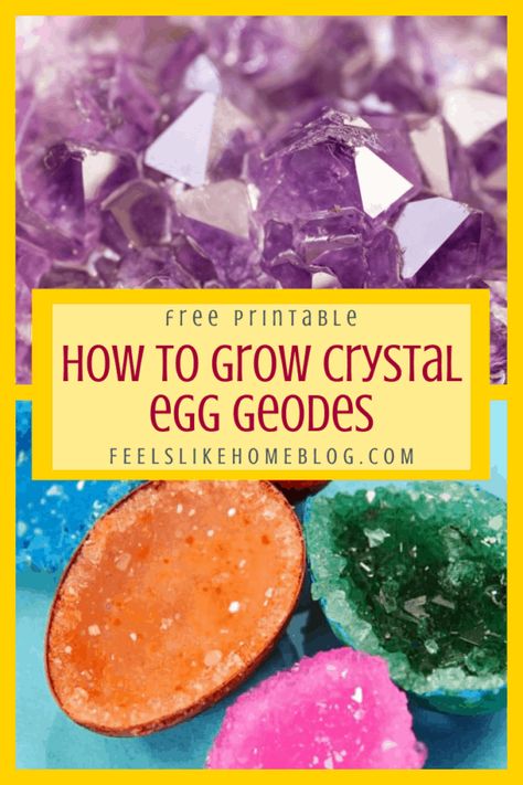 Borax Crystals Diy, Egg Geodes, Diy Crystal Crafts, Crystals For Kids, Easter Science, Cave Quest, Grow Your Own Crystals, Crystal Growing, Borax Crystals