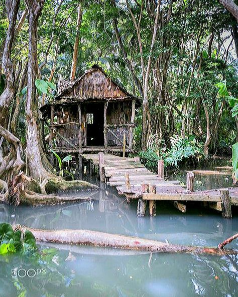 Bayou House, Kava Kava, Louisiana Swamp, Louisiana Bayou, Wooden Hut, Wanderlust Decor, Creepy Houses, Indian River, Structure Architecture