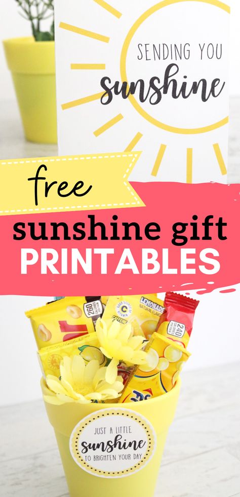 Sunshine Gift Basket, Basket Of Sunshine, Subway Gift Card, Sunshine Care Package, Sunshine Box, Sunshine Printable, Leo Wife, Appreciation Gifts Diy, Staff Appreciation Gifts